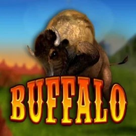 Buffalo Bingo slot visual from MGA Games available on robocat.it.com