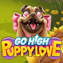 Try Go High Puppy Love slot by RubyPlay on robocat.it.com – logo image