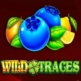 Slots logo of Wild Traces from Amusnet Interactive at Robocat Casino