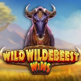 Wild Wildebeest Wins logo by Pragmatic Play at Robocat Casino